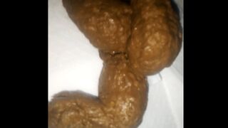 I MADE A MASTERPIECE - TASTY SHIT, ScatKings.com Scat Porn 16 ScatKings.com Scat Porn