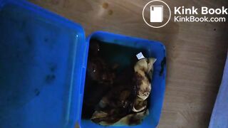 ScatKings.com Scat Porn