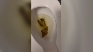 Morning poop - video 118, ScatKings.com Scat Porn 9 ScatKings.com Scat Porn