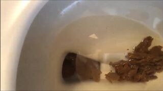 Toilet Release, ScatKings.com Scat Porn 11 ScatKings.com Scat Porn